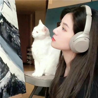 四海鲸骑第二季
